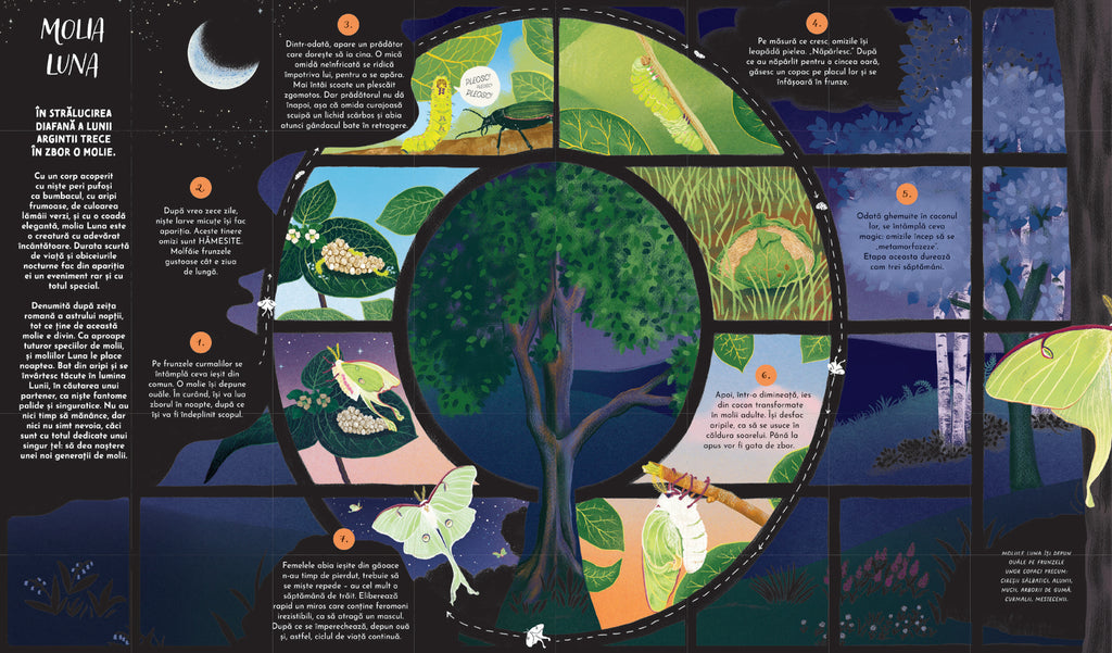 Ciclul vieții - O călătorie despre evoluția naturii