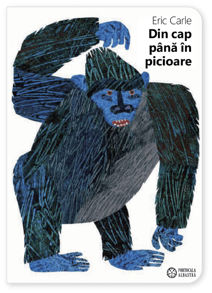 Din cap până în picioare