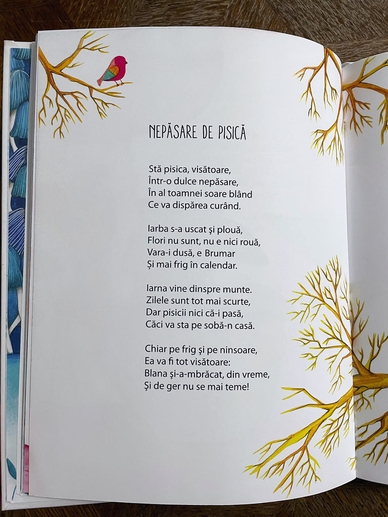 O căsuță cu de toate