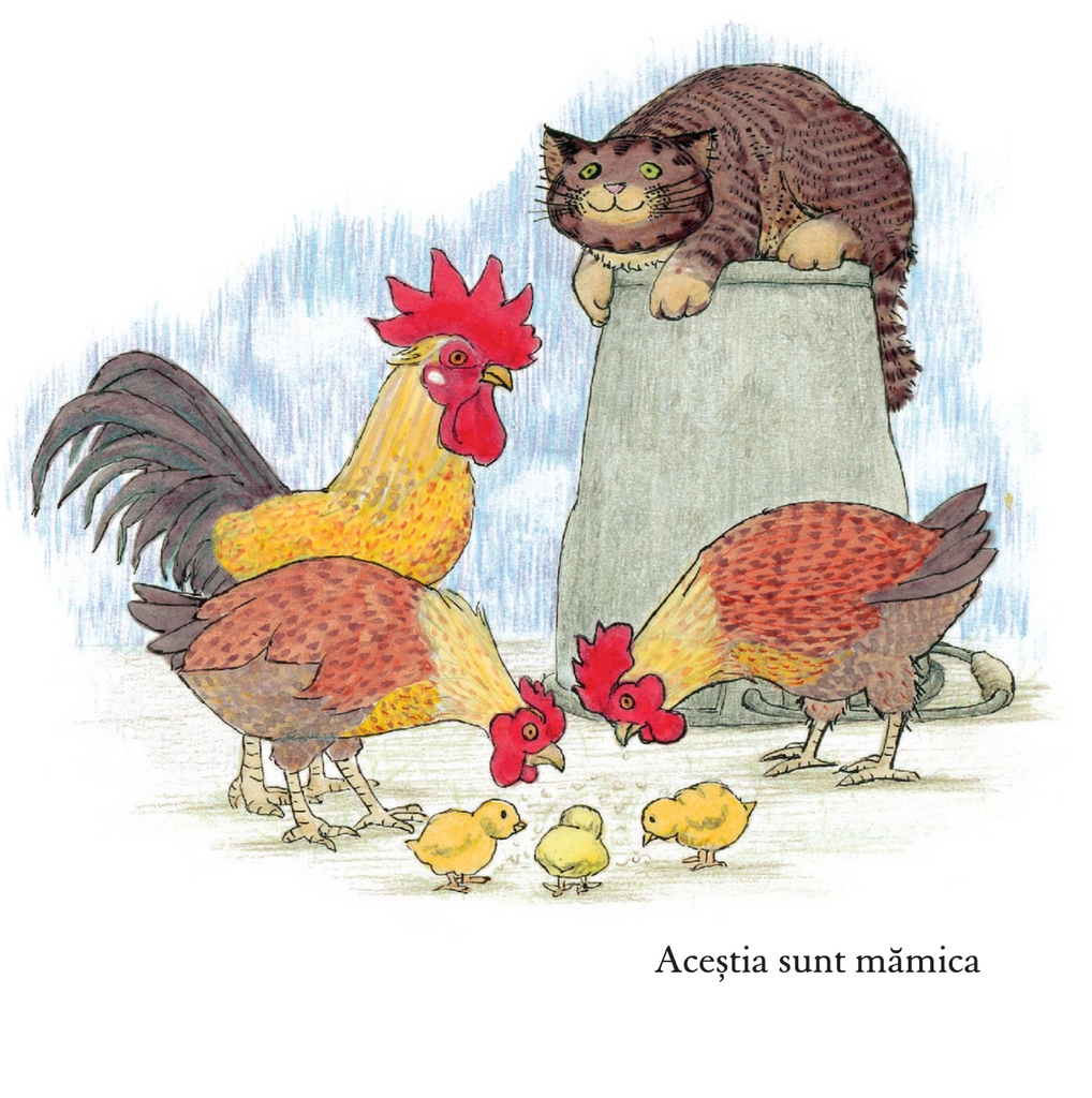 Familia de pisici a lui MOG. MOG în grădină