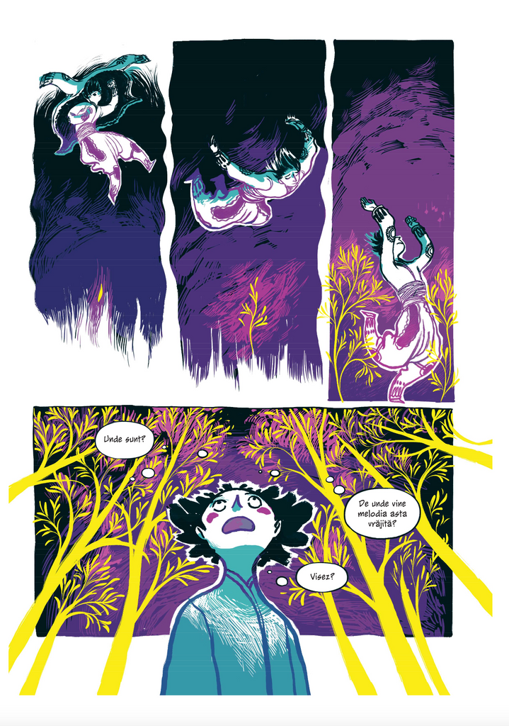 Cele douăsprezece prințese dansatoare