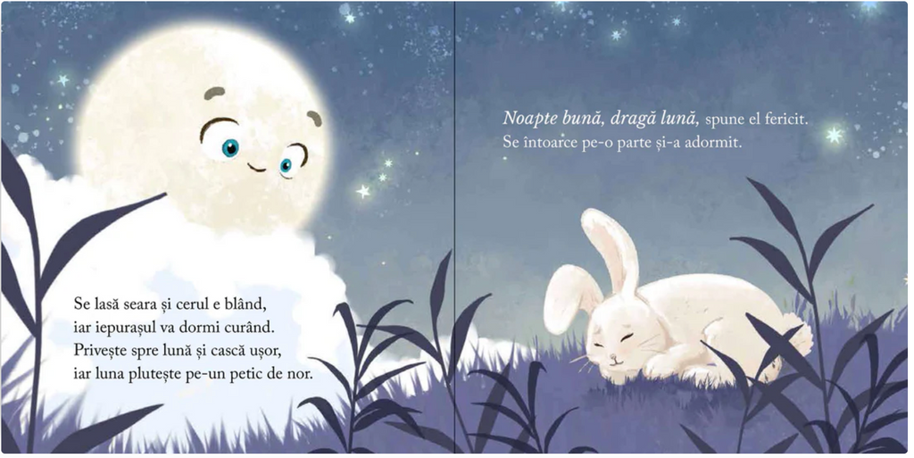 Noapte bună, dragă Lună