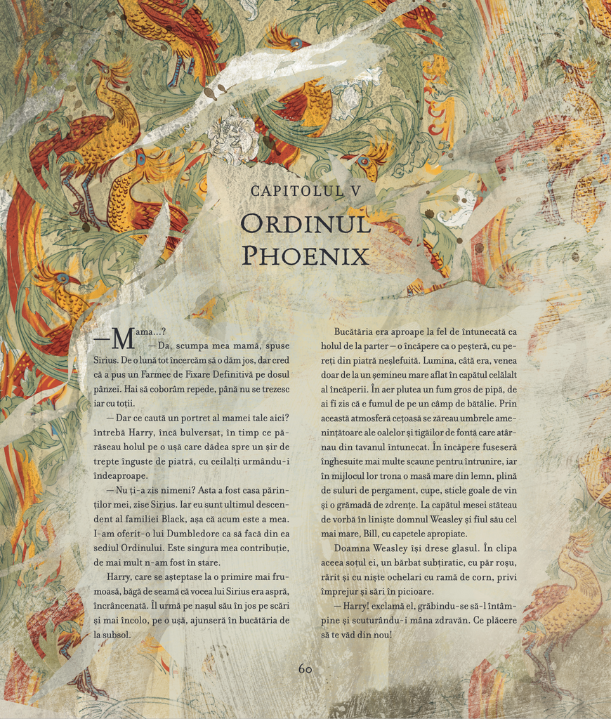 Harry Potter și Ordinul Phoenix (#5), ediție ilustrată