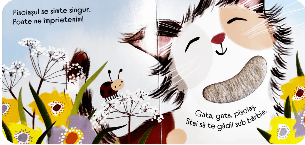 Gata, gata, pisoiaș - carte senzorială