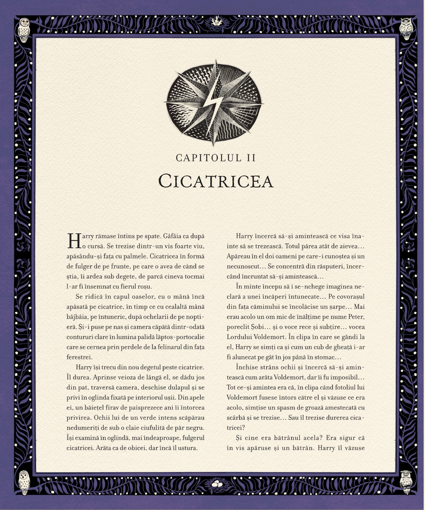 Harry Potter și Pocalul de Foc #4, ediție ilustrată