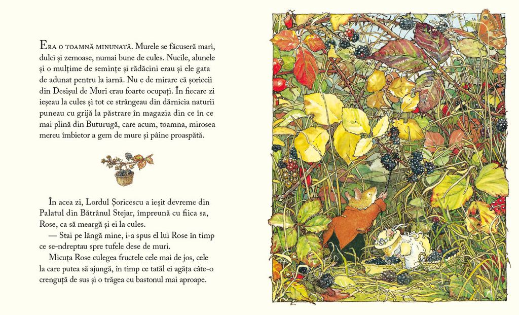 Desișul de Muri. Poveste de toamnă (editura Cartea Copiilor)