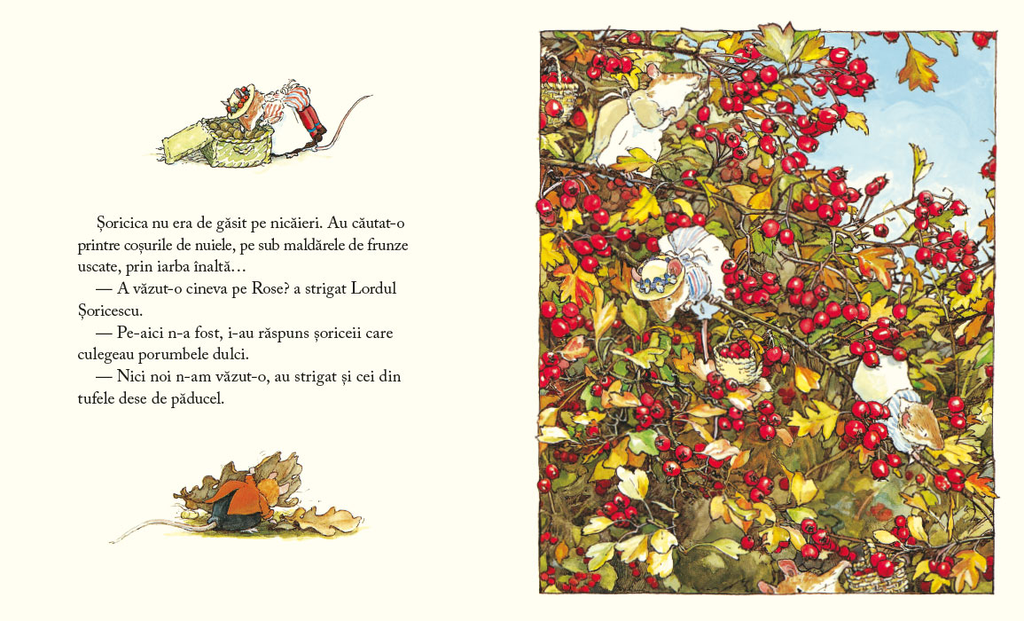 Desișul de Muri. Poveste de toamnă (editura Cartea Copiilor)