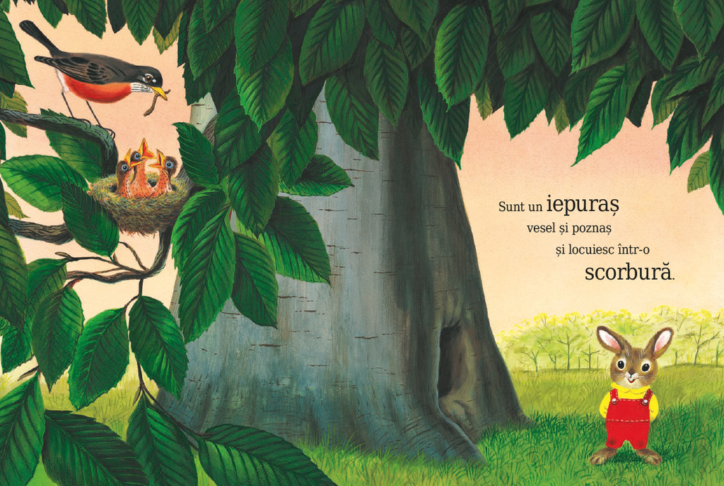 Sunt un iepuraș