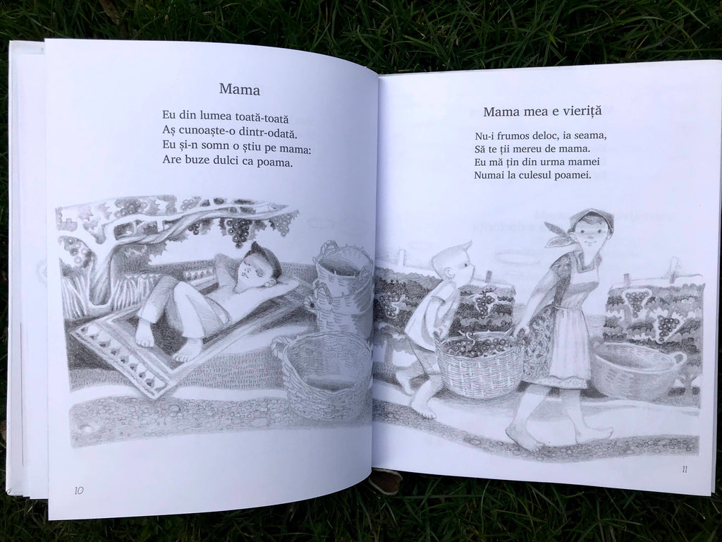 Poezii de seama voastră