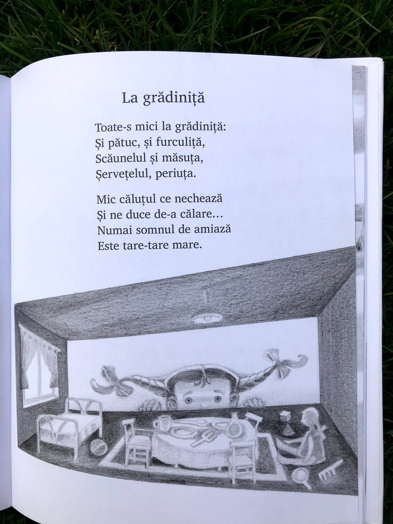 Poezii de seama voastră