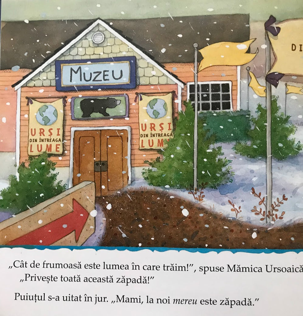 Lumea este darul lui Dumnezeu - Librăria lui Andrei