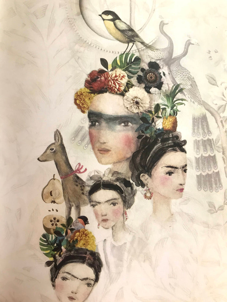 Frida - Librăria lui Andrei