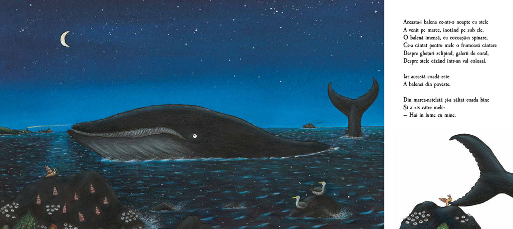 Melcul și balena - Librăria lui Andrei