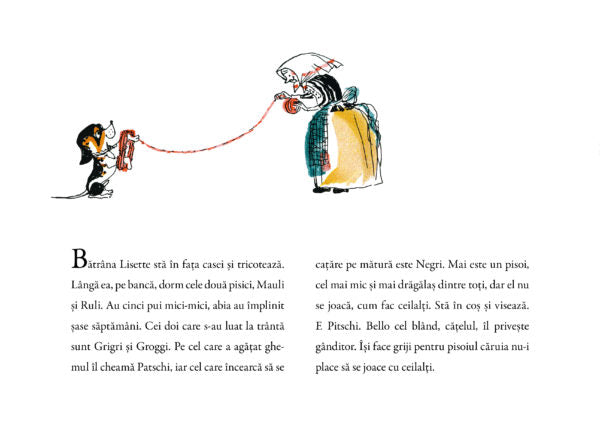 Pitschi - Librăria lui Andrei