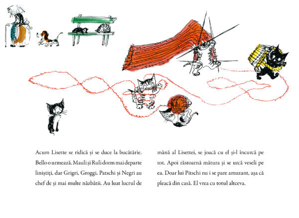 Pitschi - Librăria lui Andrei
