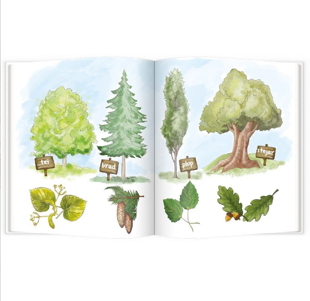 Pupo învață să protejeze natura - Librăria lui Andrei