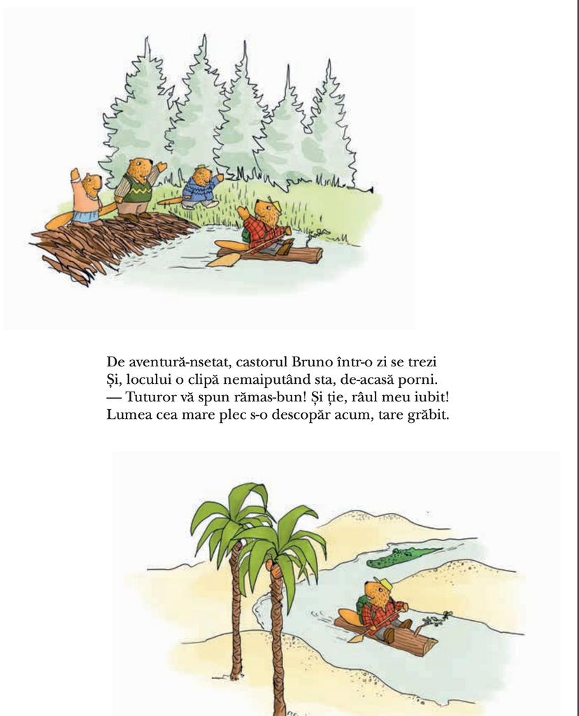 Bine ai venit acasă, Bruno! - Librăria lui Andrei