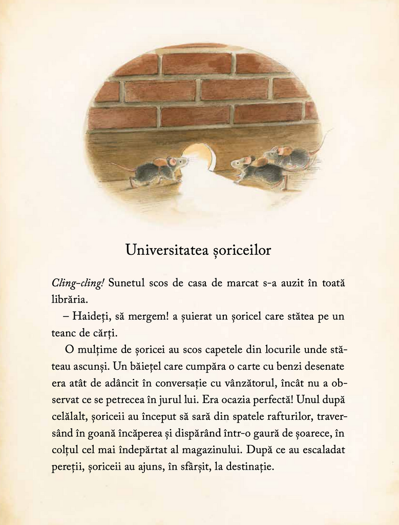 Edison. Misterul comorii dispărute