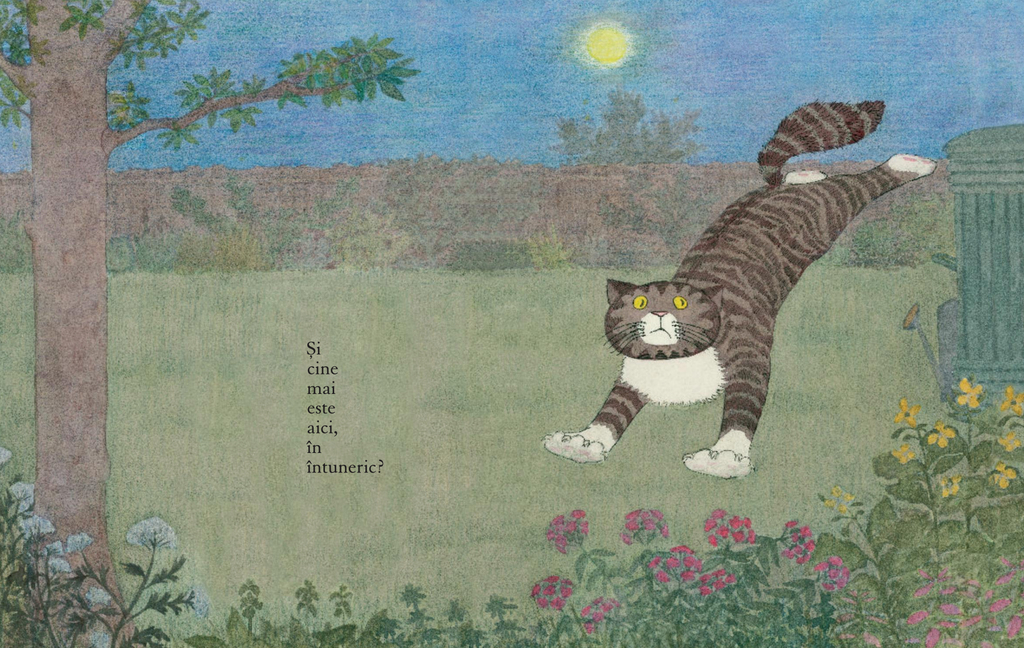 MOG în întuneric