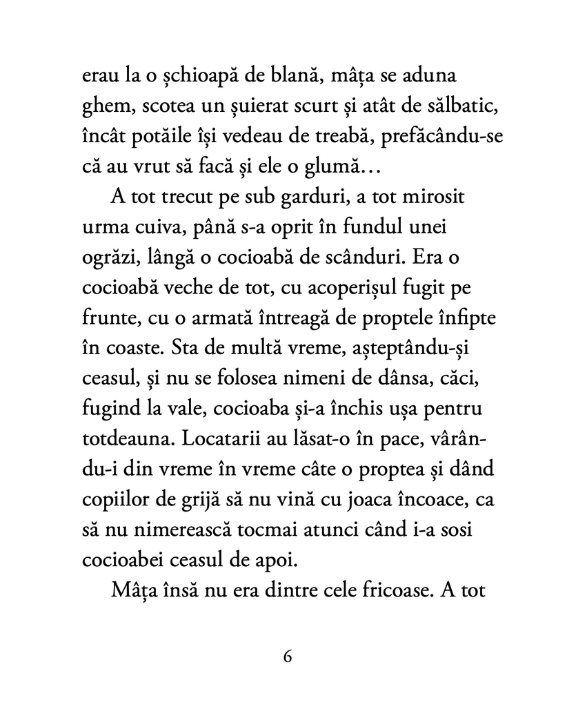 Balada celor cinci motănași