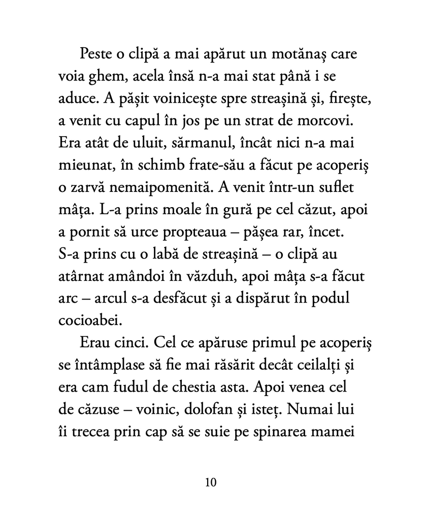 Balada celor cinci motănași