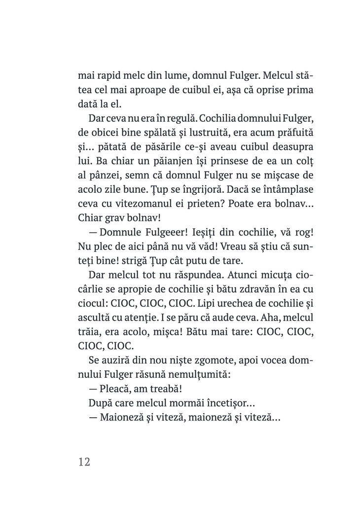 Țup și pădurea încremenită (Cartea a treia)