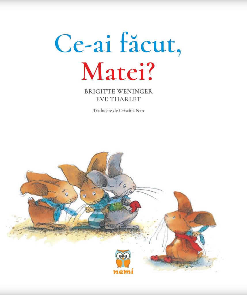Ce ai făcut, Matei?