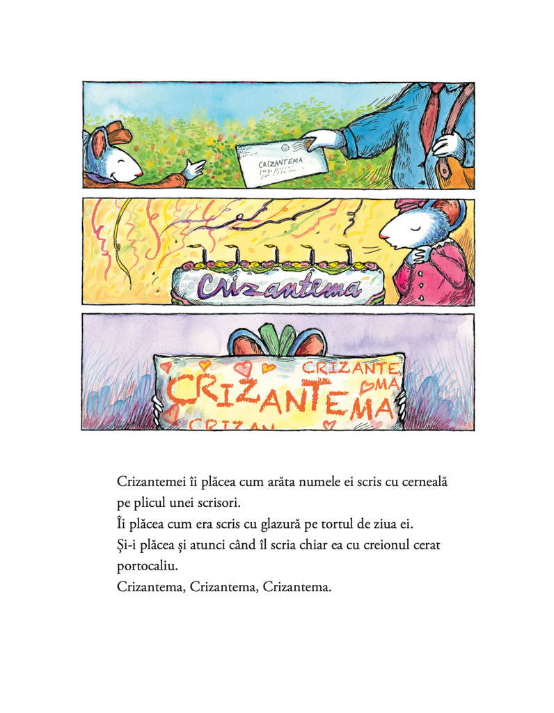 Crizantema