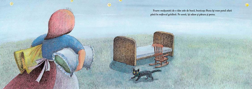 Bunicuța Buna și cerul înstelat - Librăria lui Andrei