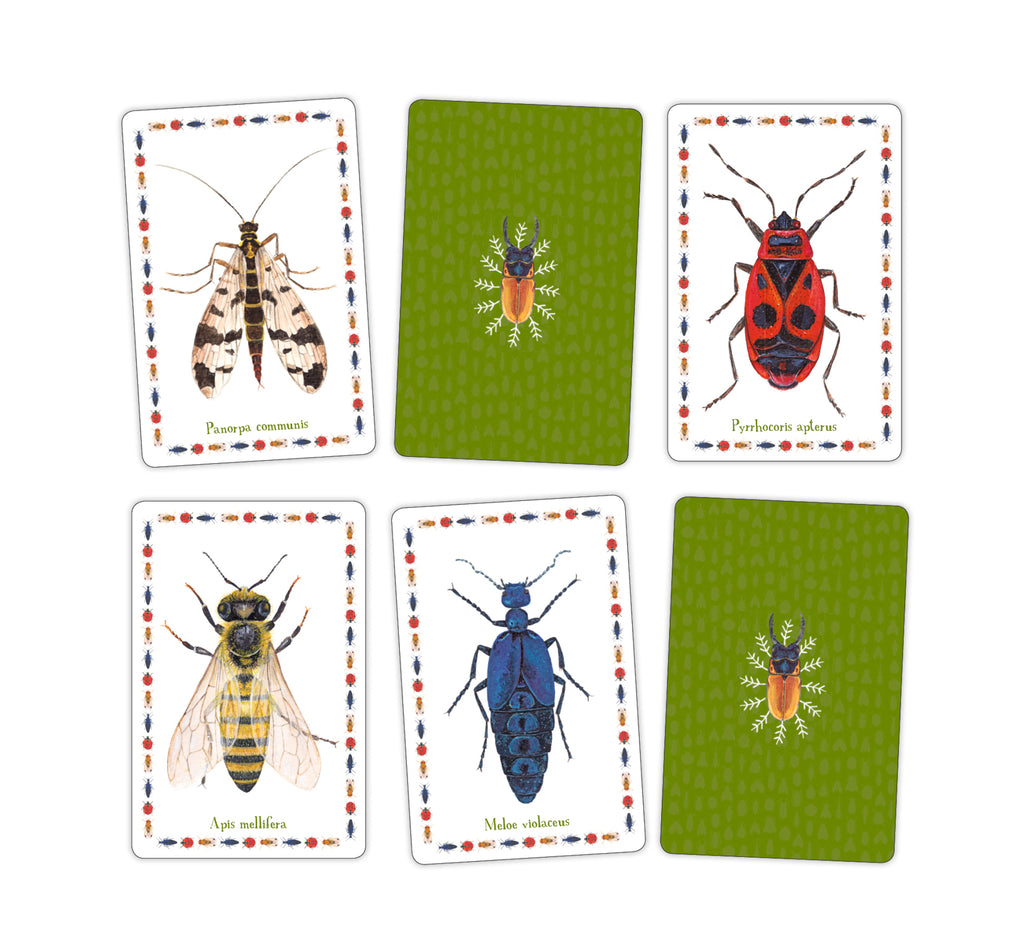 Cărți de memorie/Insecte - Librăria lui Andrei