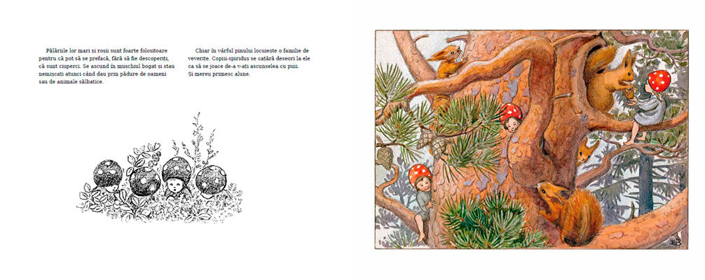 ﻿Copiii pădurii - Librăria lui Andrei