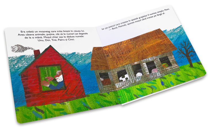 Ninsoarea din vis - Librăria lui Andrei