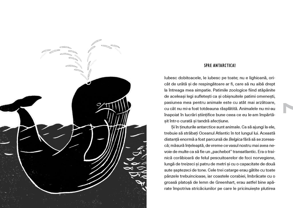 Spre Polul Sud - Librăria lui Andrei