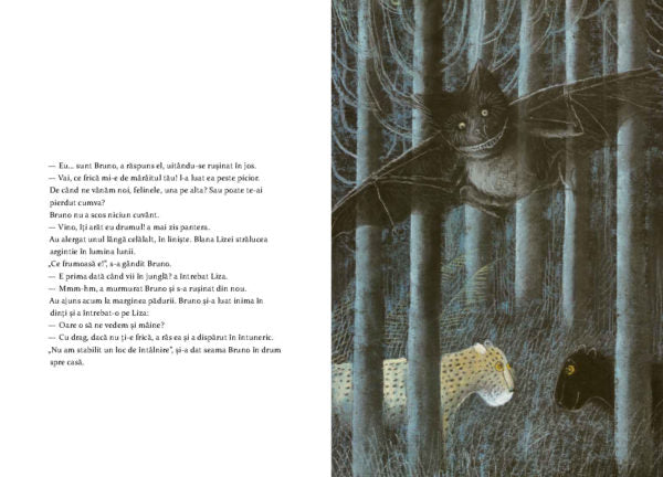 Leopantera - Librăria lui Andrei