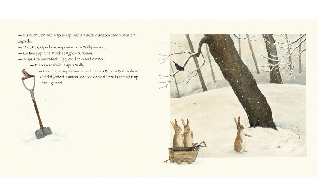 O șoaptă în zăpadă - Librăria lui Andrei