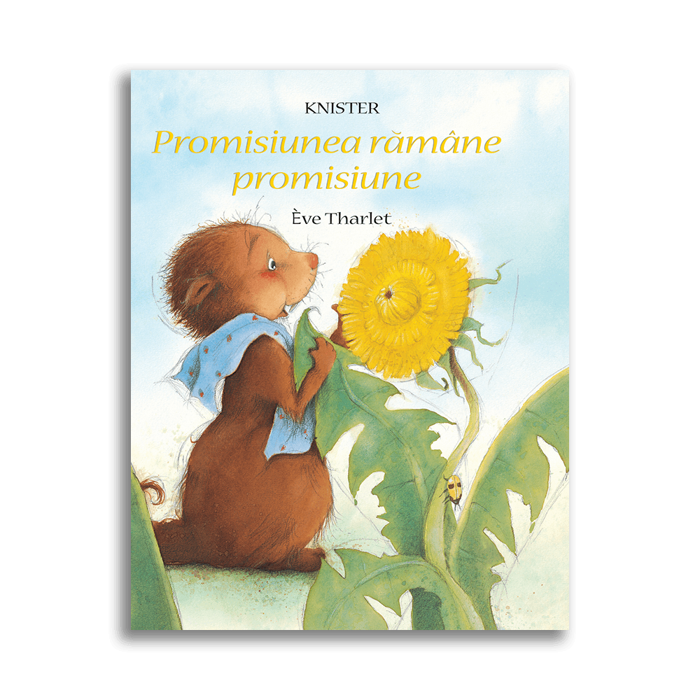 Promisiunea rămâne promisiune - Librăria lui Andrei