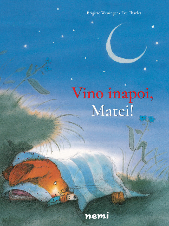 Vino înapoi, Matei!