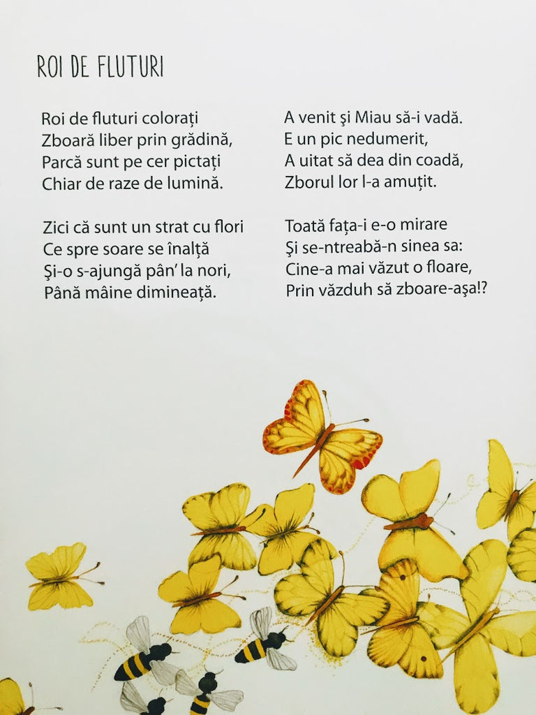 O căsuță cu de toate - Librăria lui Andrei