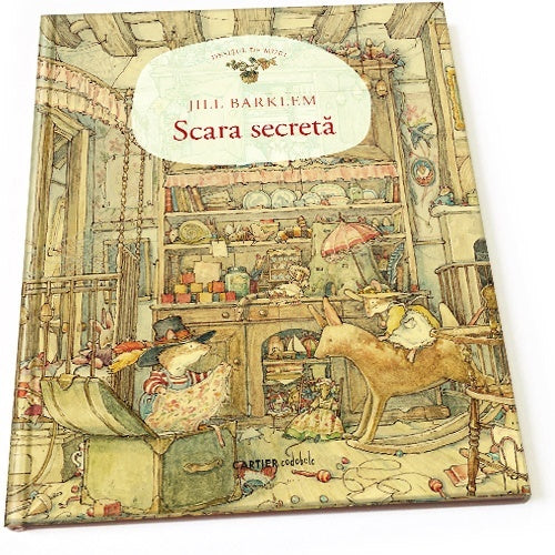 Scara secretă - Librăria lui Andrei